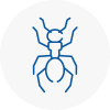 Ant Removals In Oval