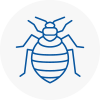 Bed Bug Extermination In Oval