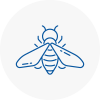 Bee Nest Removal Oval