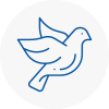 Bird Prevention Oval