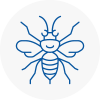 Oval Hornet Nest Removals