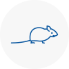 Mice Exterminators In Oval