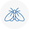 Moth Control Specialists In Oval