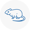 Rat Control Oval