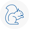 Oval Rodent Removals